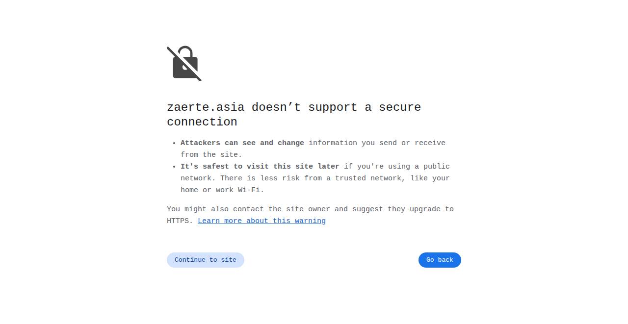 zaerte.asia homepage as a first-time visitor sees it